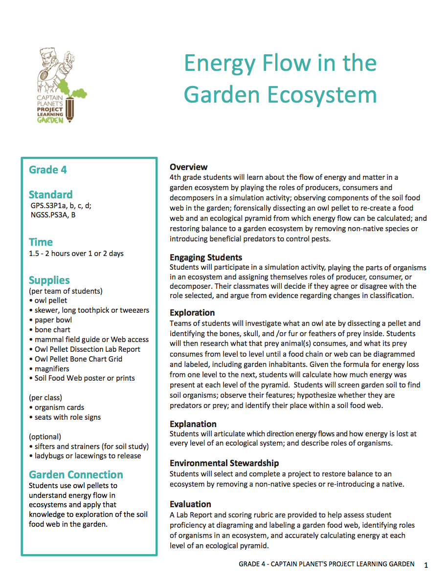 Energy Flow in the Garden Ecosystem Project Learning Garden PBS