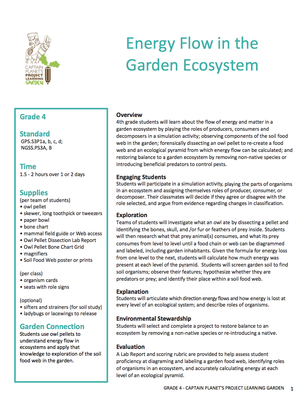 Energy Flow in the Garden Ecosystem | Project Learning Garden | Science ...
