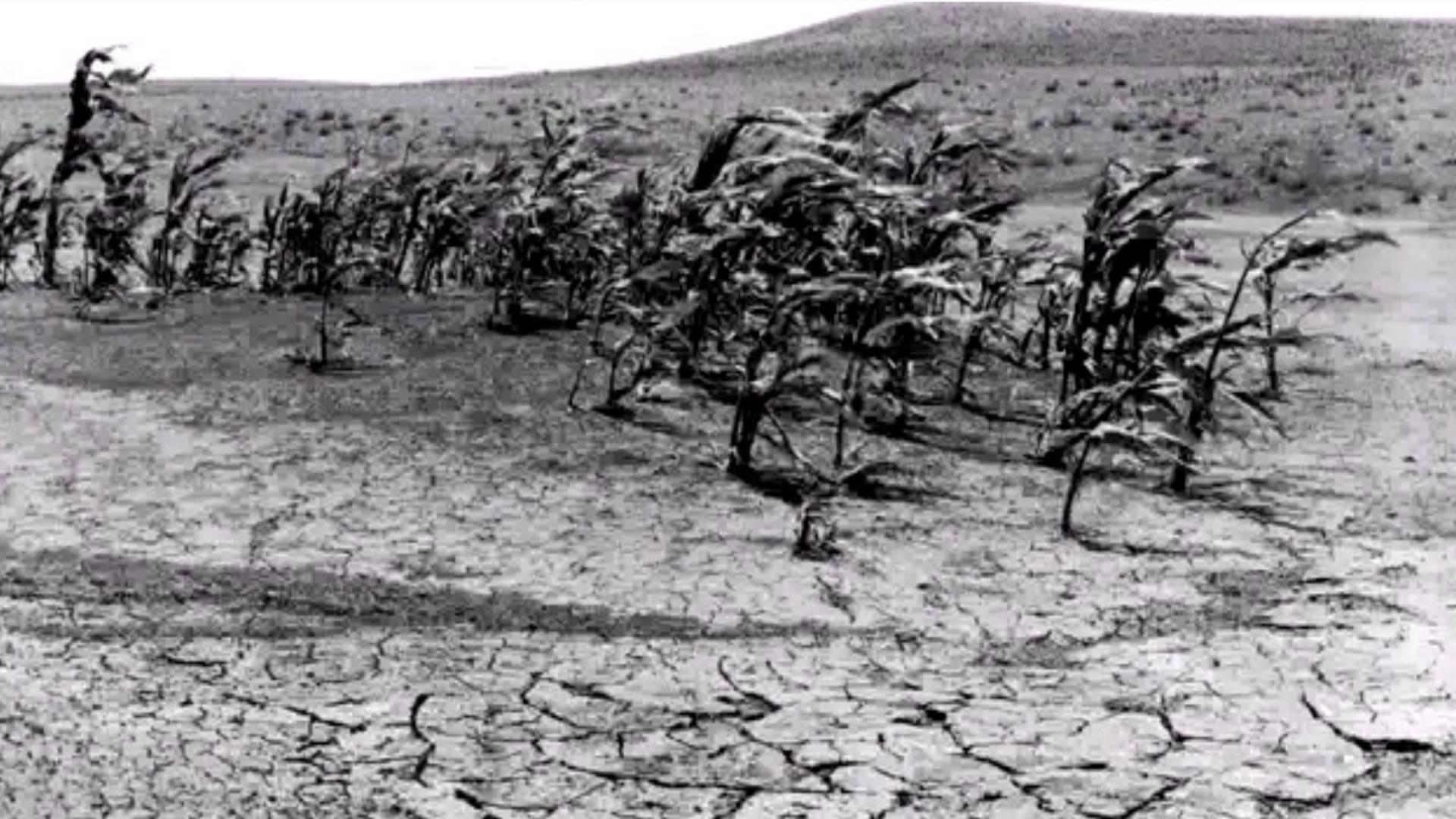 A Man Made Ecological Disaster The Dust Bowl Pbs Learningmedia