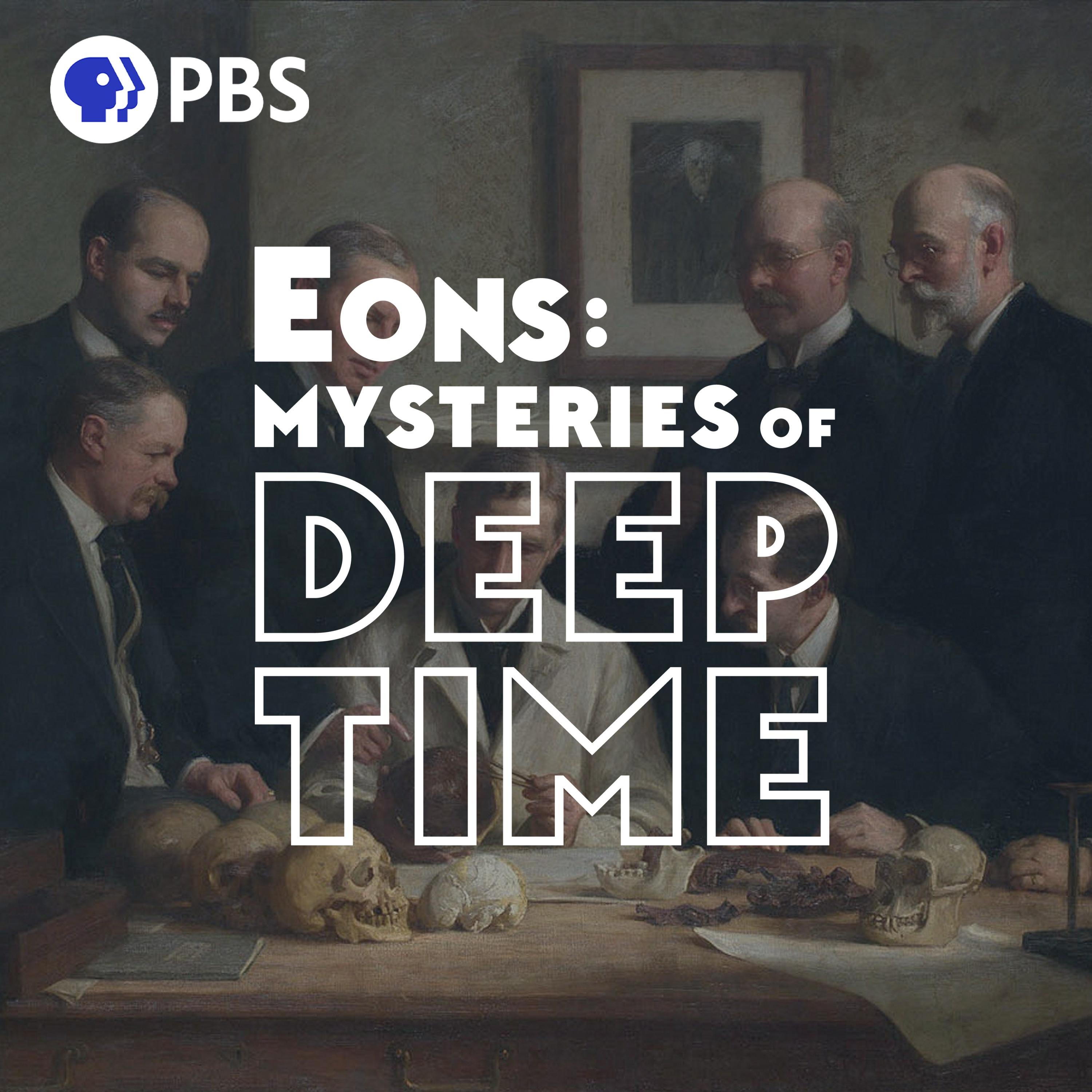 The Unsolved Case of a Fake Human Fossil Eons Mysteries of Deep Time