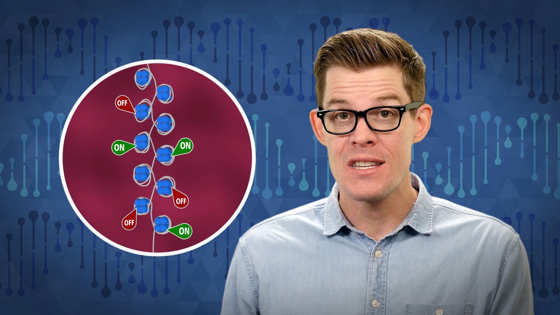 Is Inheritance Really All in Our Genes? | It's Okay to Be Smart | PBS ...