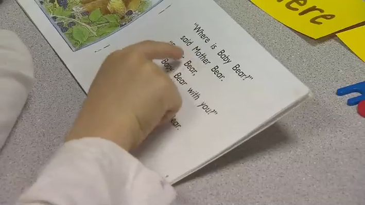 Fluency: Grades 2-3 | English Language Arts and Literacy, Professional