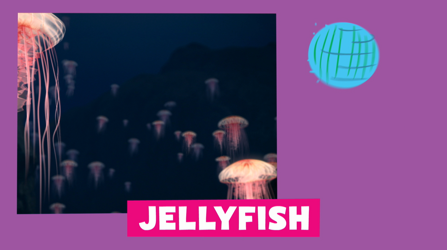 Animal Alphabet Jellyfish Pbs Learningmedia