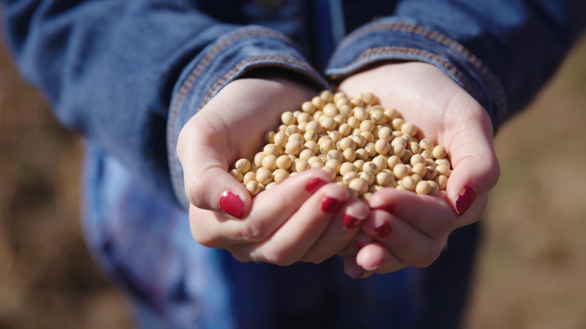 Visit a Kentucky Soybean Farm Kentucky Farms Feed Me PBS LearningMedia