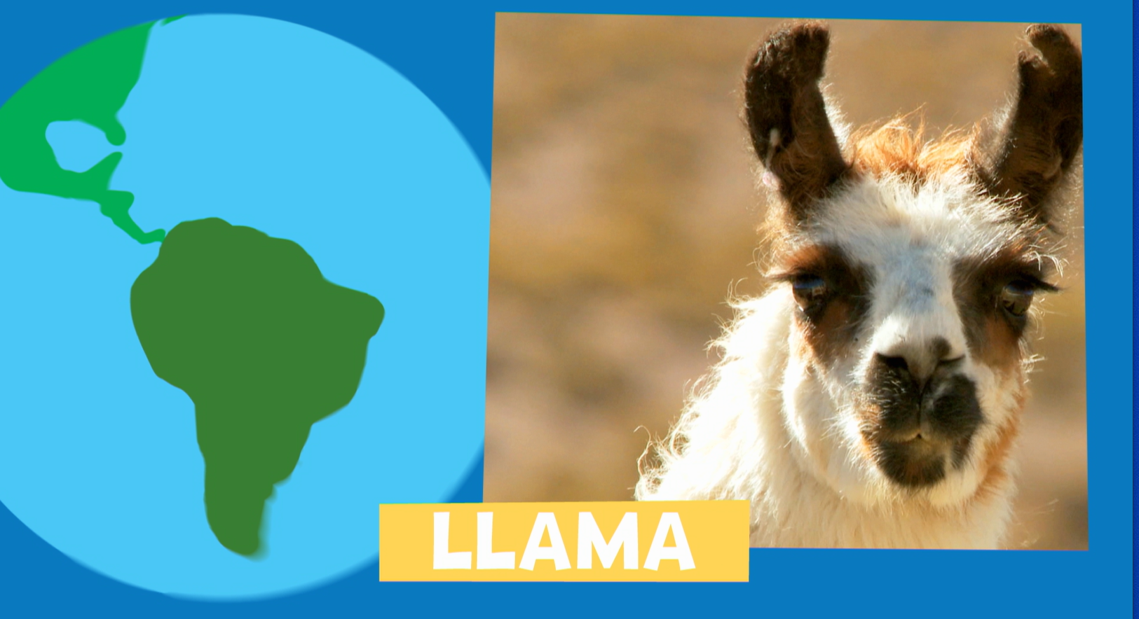 Animal Alphabet Llama Pbs Learningmedia