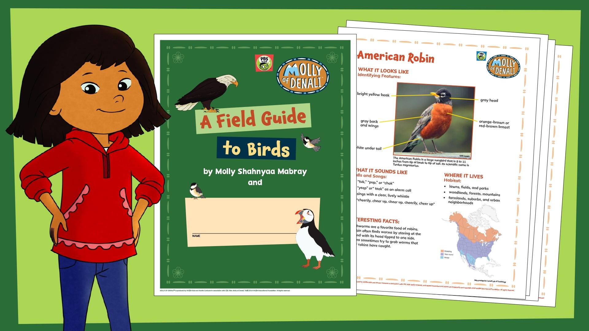 birds and worms activity