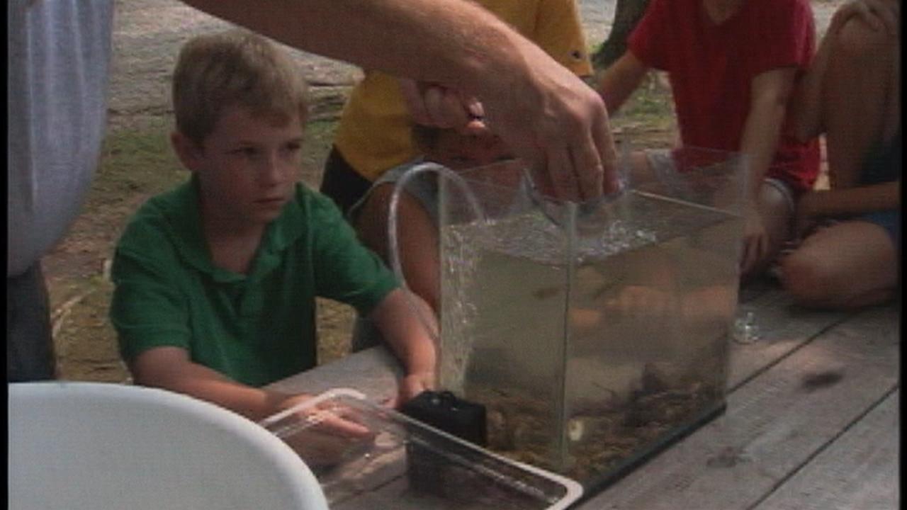 Indiana Expeditions Make Your Own Aquarium PBS LearningMedia