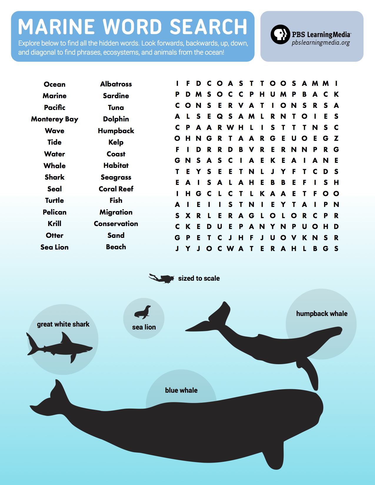 marine-word-search-pbs-learningmedia