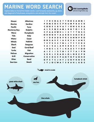 marine word search pbs learningmedia