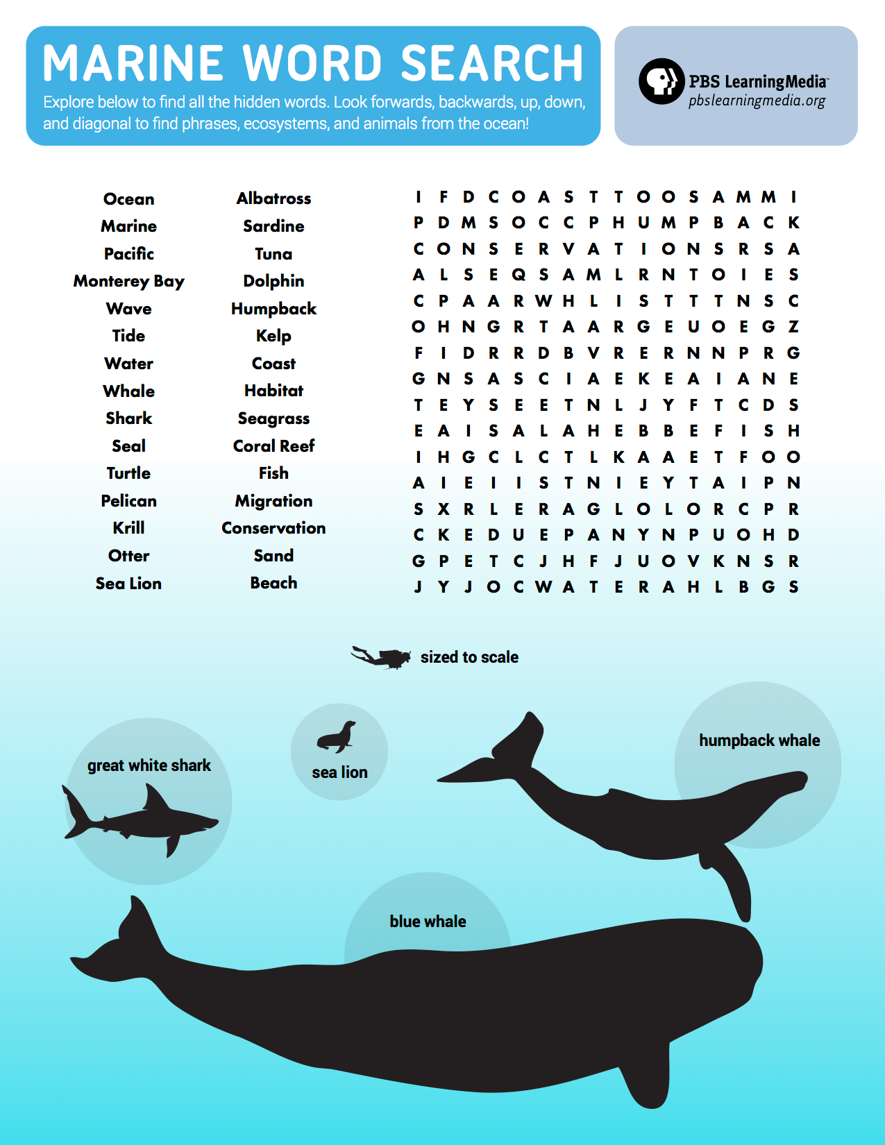 Marine Word Search PBS LearningMedia