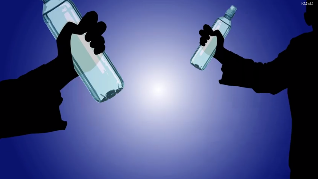 The Math of Trash: Percents and Proportions | The Lowdown | PBS