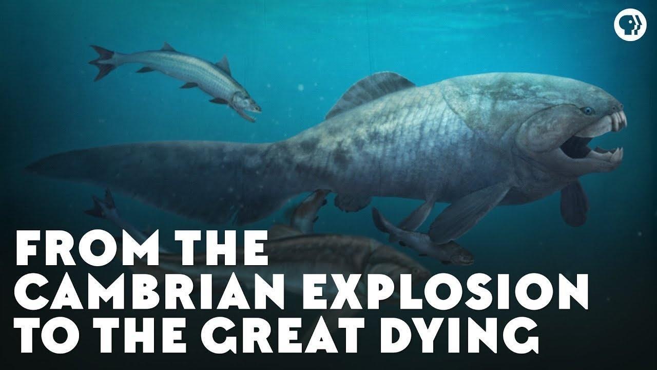 From the Cambrian Explosion to the Great Dying | Eons, image size:1280x720