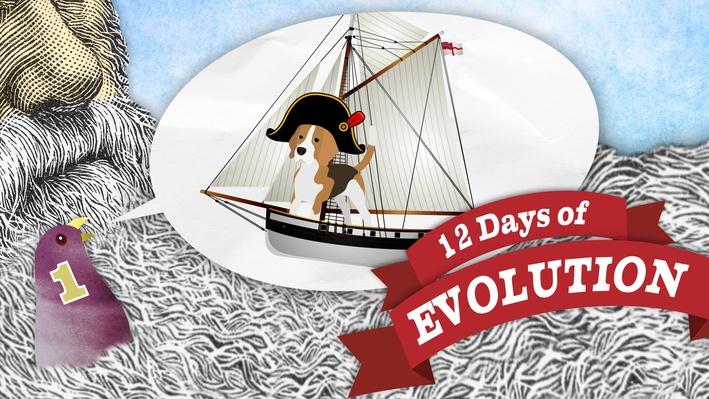 it's okay to be smart 12 days of evolution