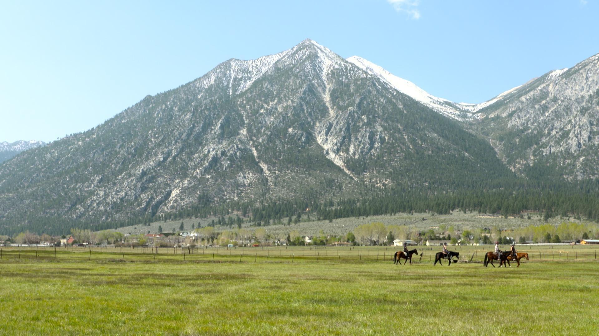Sheridan Creek Horseback Riding Outdoor Nevada PBS LearningMedia