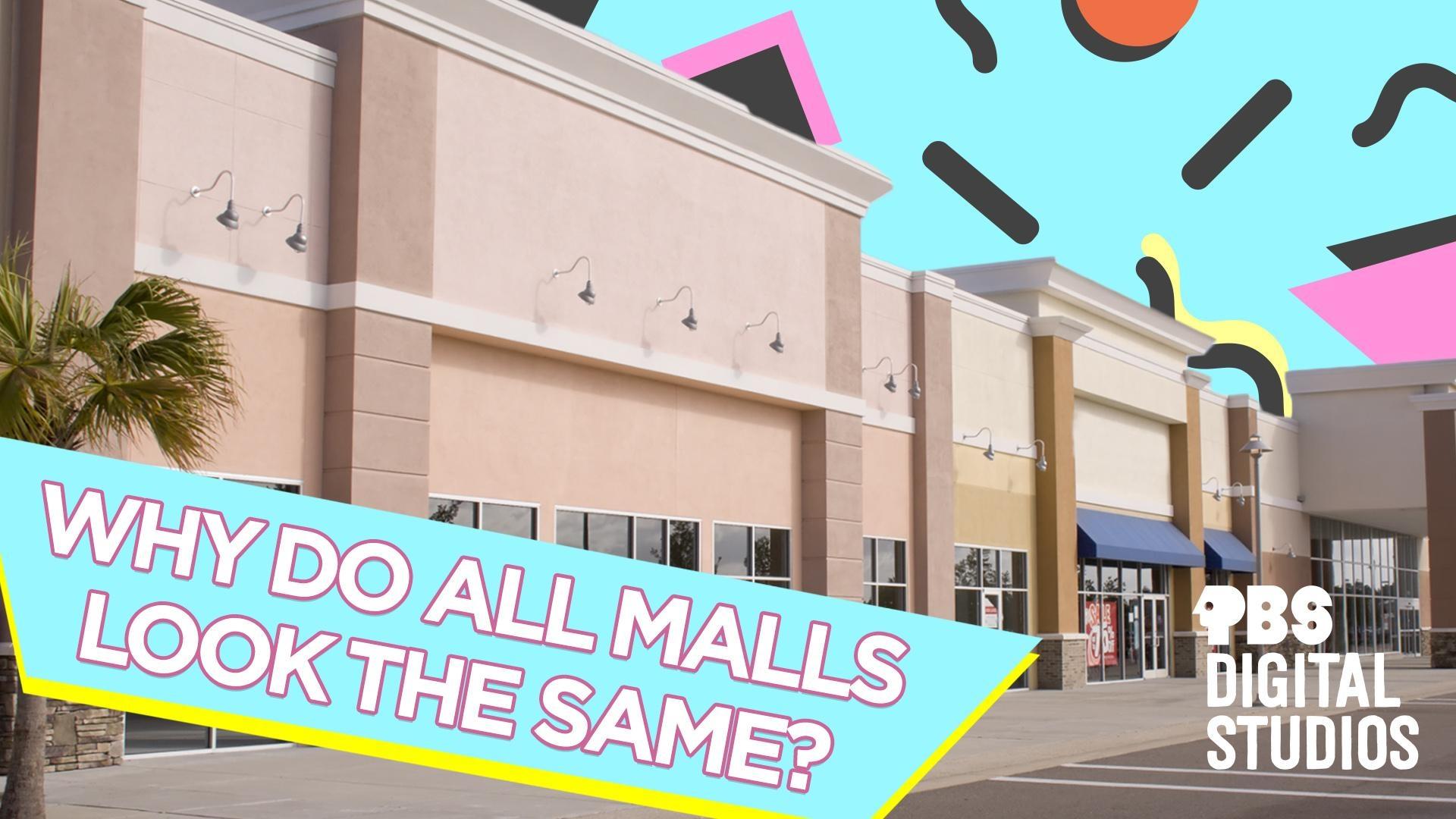 Why Do All Malls Look The Same Origin Of Everything PBS LearningMedia