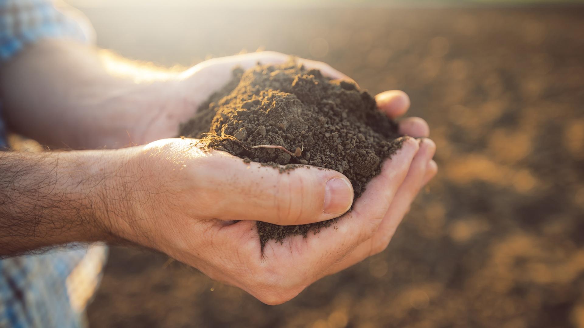 On the Table | Episode 3: Heart and Soil | PBS LearningMedia