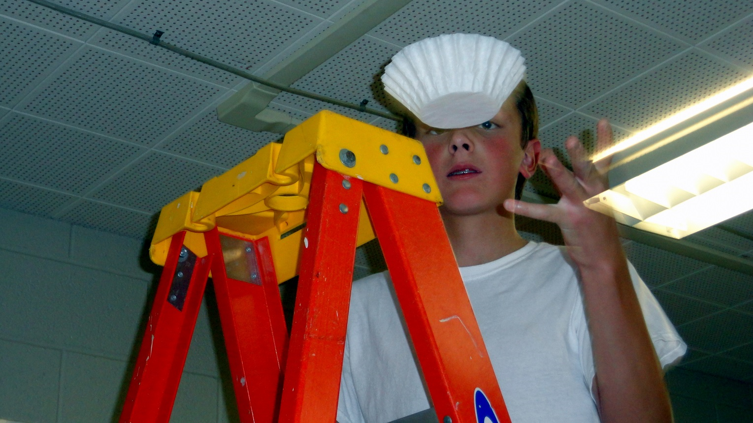 Terminal Velocity Activity using Coffee Filters Images of the Past