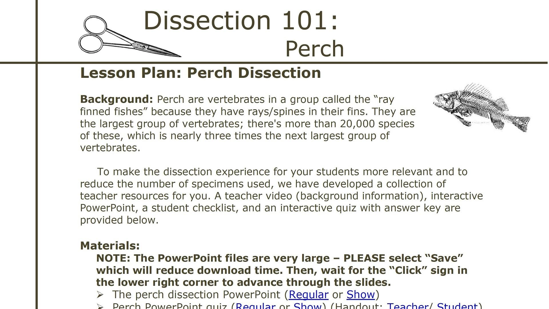 dissection-101-perch-dissection-lesson-plan-pbs-learningmedia