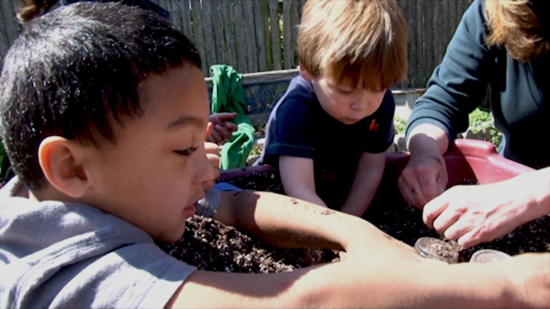 Plants Science Talk Pbs Learningmedia Plants Science Talk Pbs Learningmedia