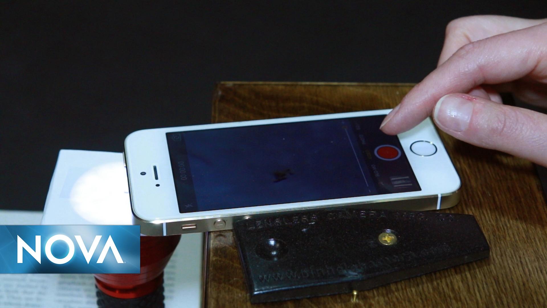See Microbes with This DIY Phone Microscope