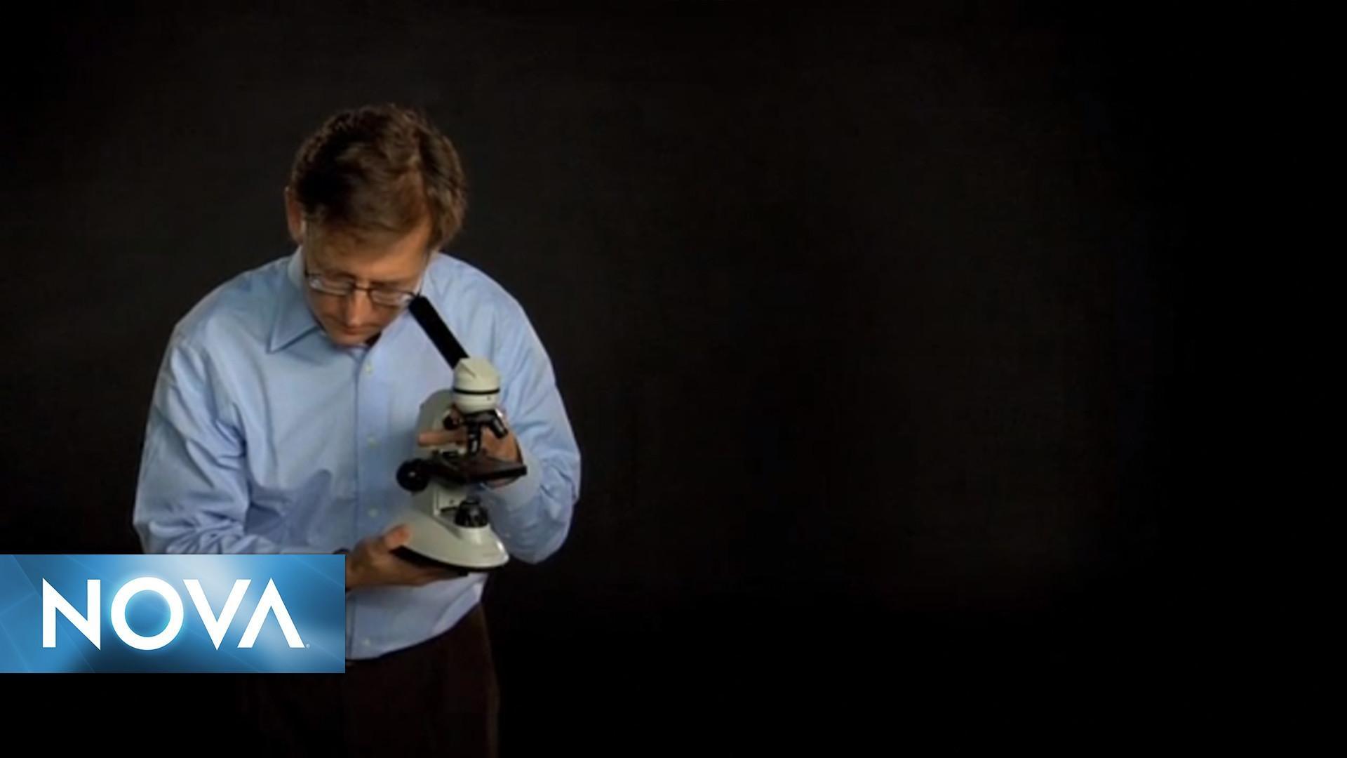 The Secret Life of Scientists & Engineers Ian Lipkin PBS LearningMedia