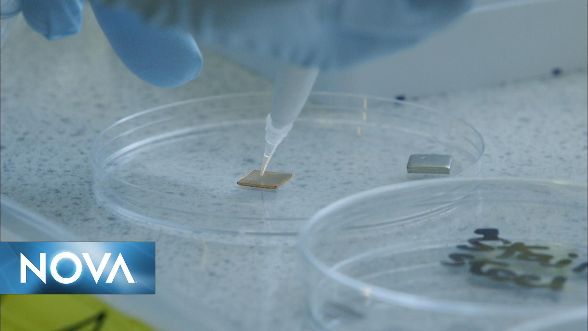 Treasures of the Earth The Antimicrobial Properties of Copper PBS