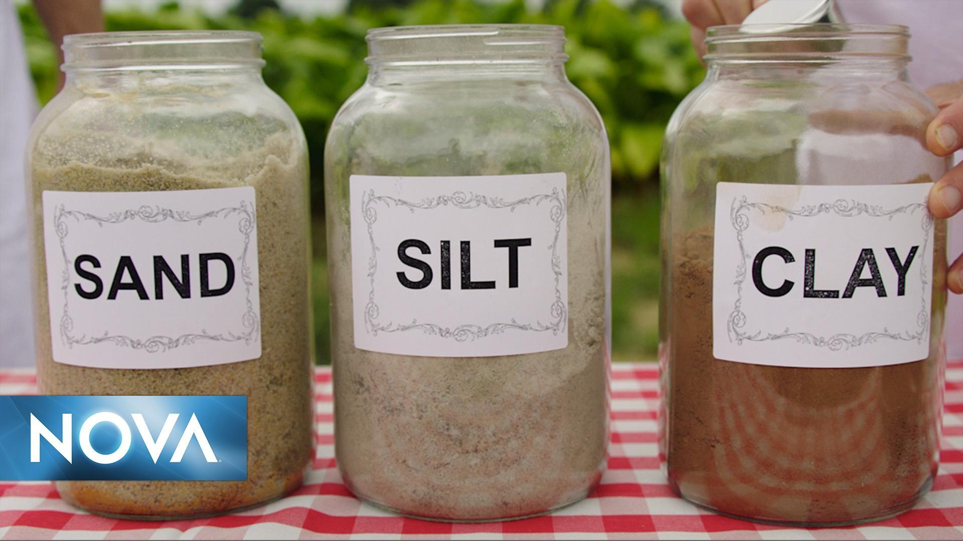 Making North America | The Ingredients for Soil | PBS LearningMedia