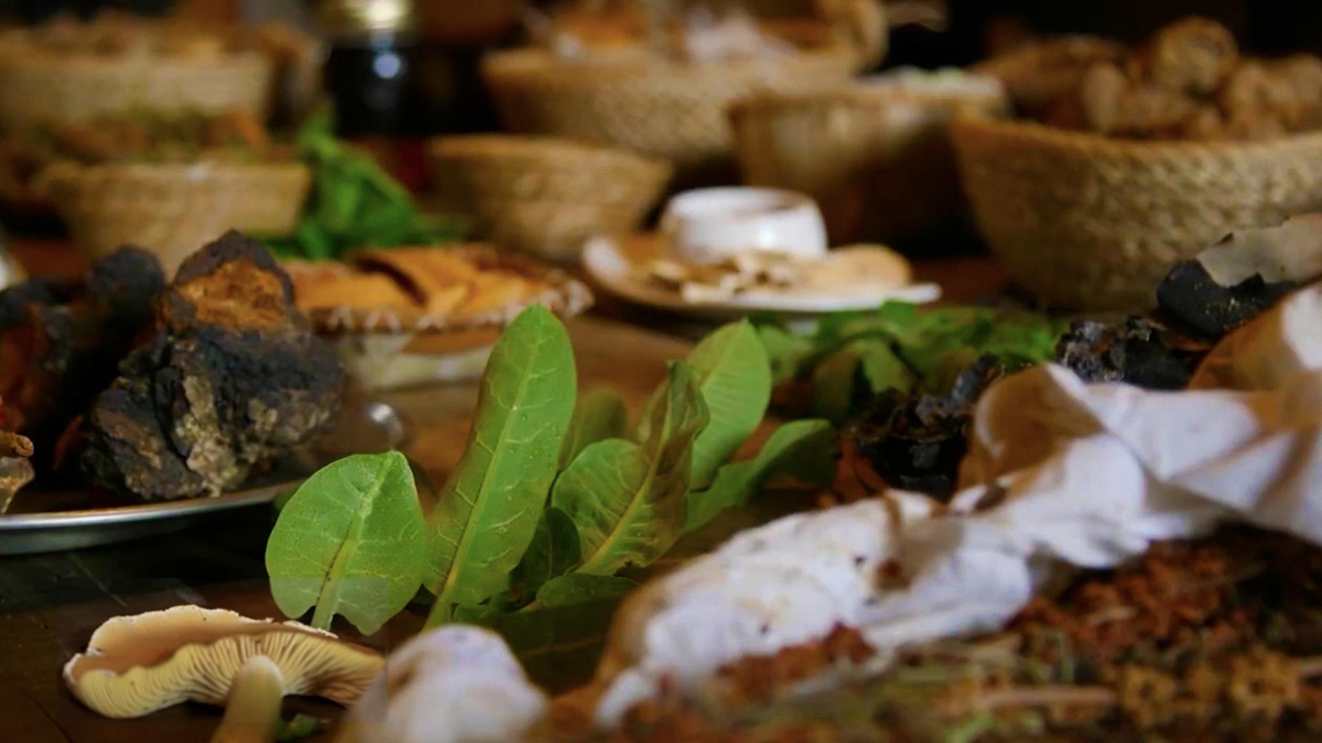 Foraging: Ethics and Opportunities | Mountain Lake Journal | PBS LearningMedia