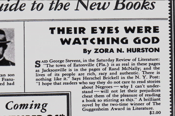 Their eyes were watching god essay question