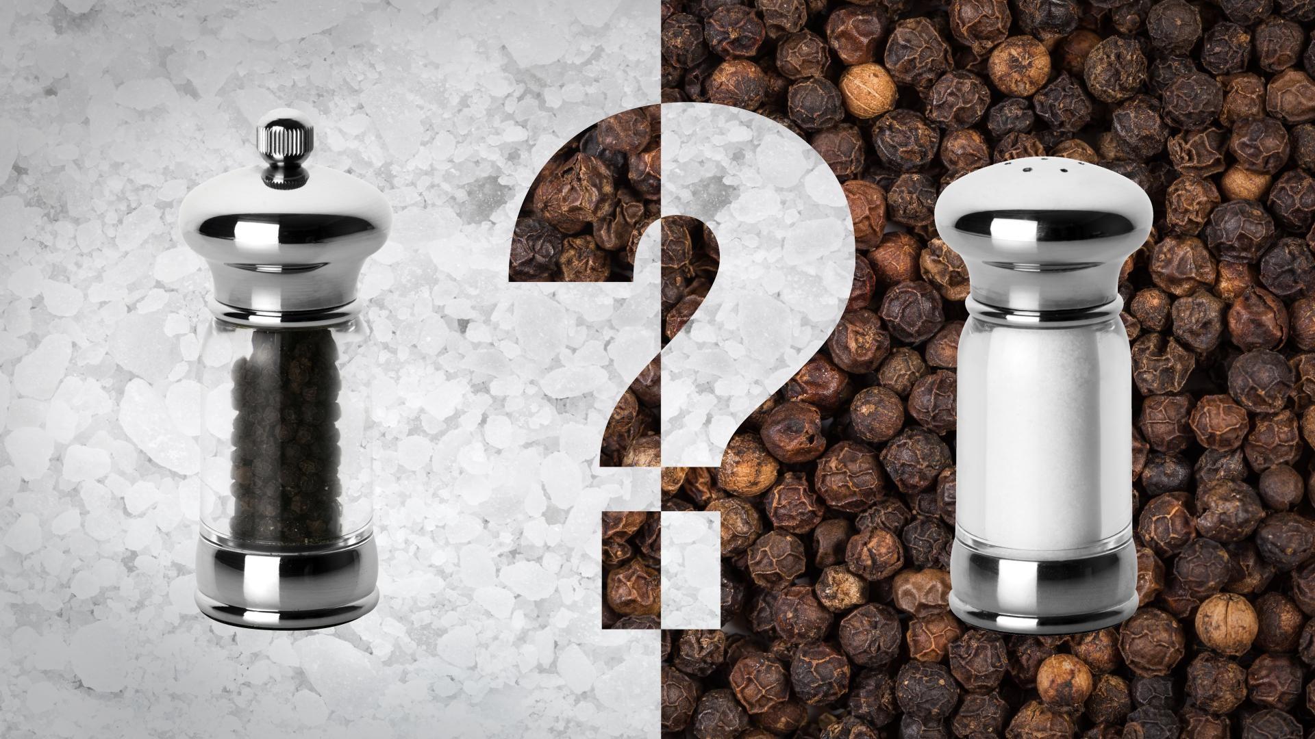 Why Salt & Pepper? It's Okay to Be Smart PBS LearningMedia