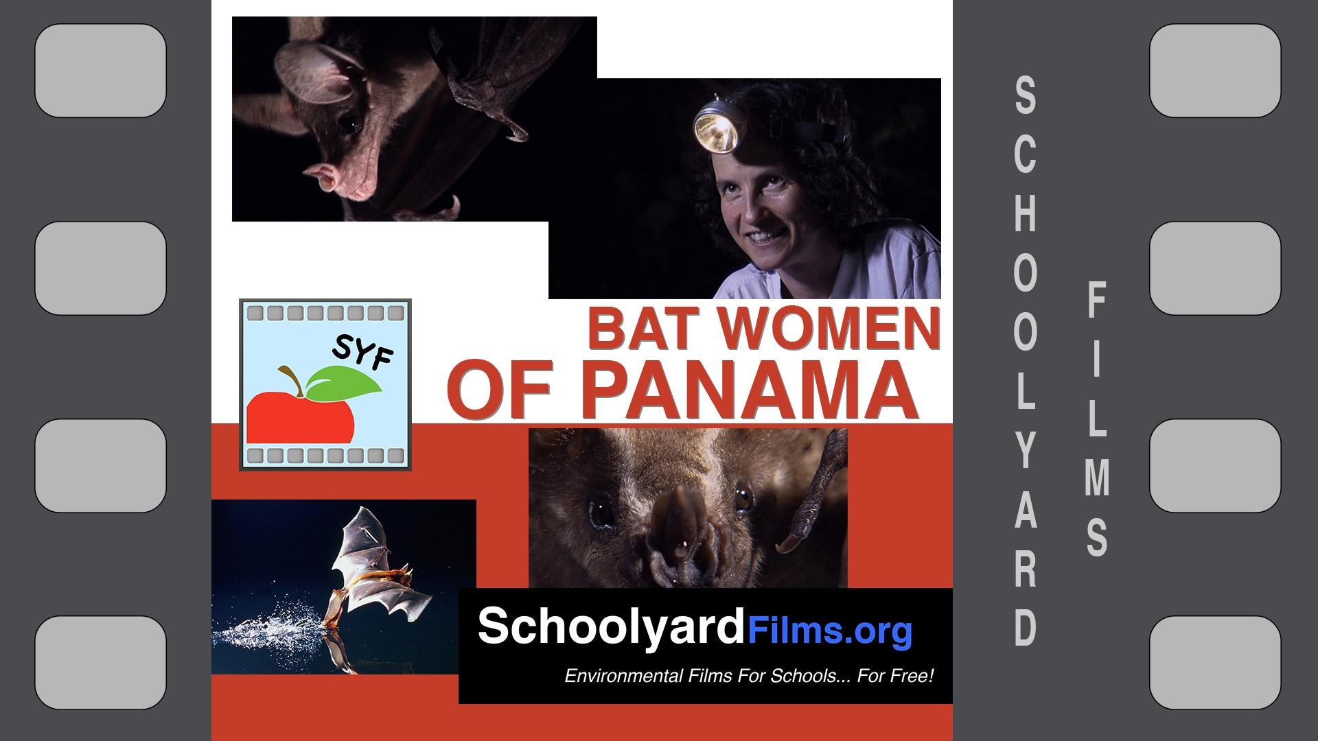 Bat Women of Panama Schoolyard Films PBS LearningMedia photo