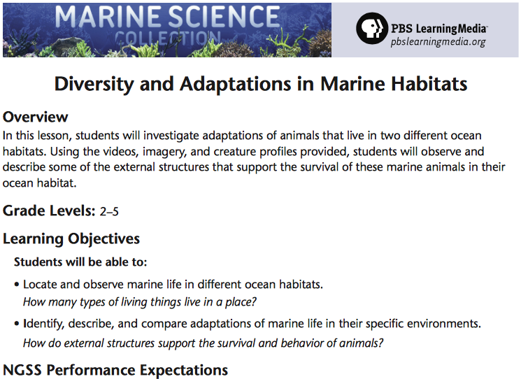 Diversity and Adaptations in Marine Habitats Lesson Plan PBS