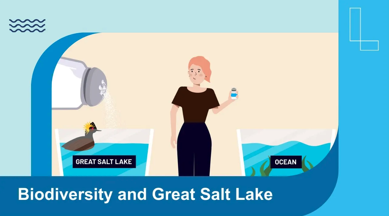 Nature at Extremes: Great Salt Lake | Nature Lab | PBS LearningMedia