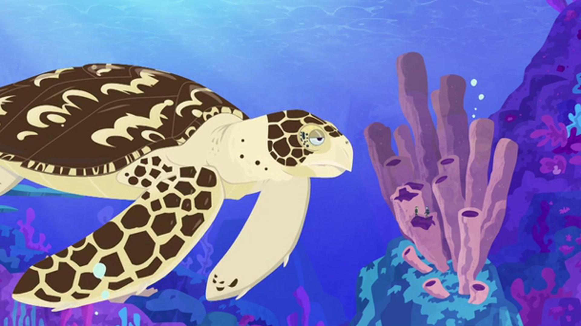 Seeing Sea Turtles | Wild Kratts | PBS LearningMedia