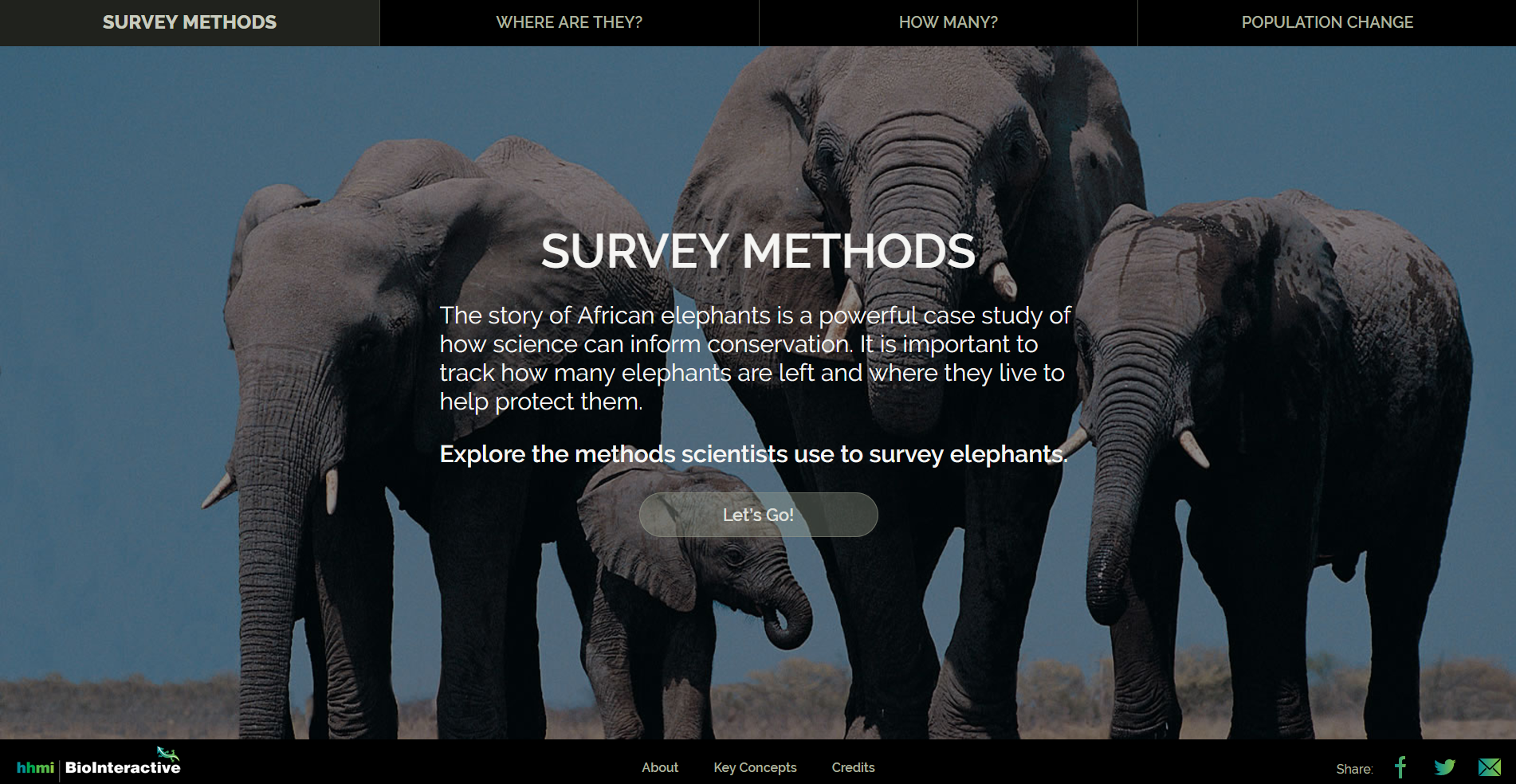 Survey Methods Statistics