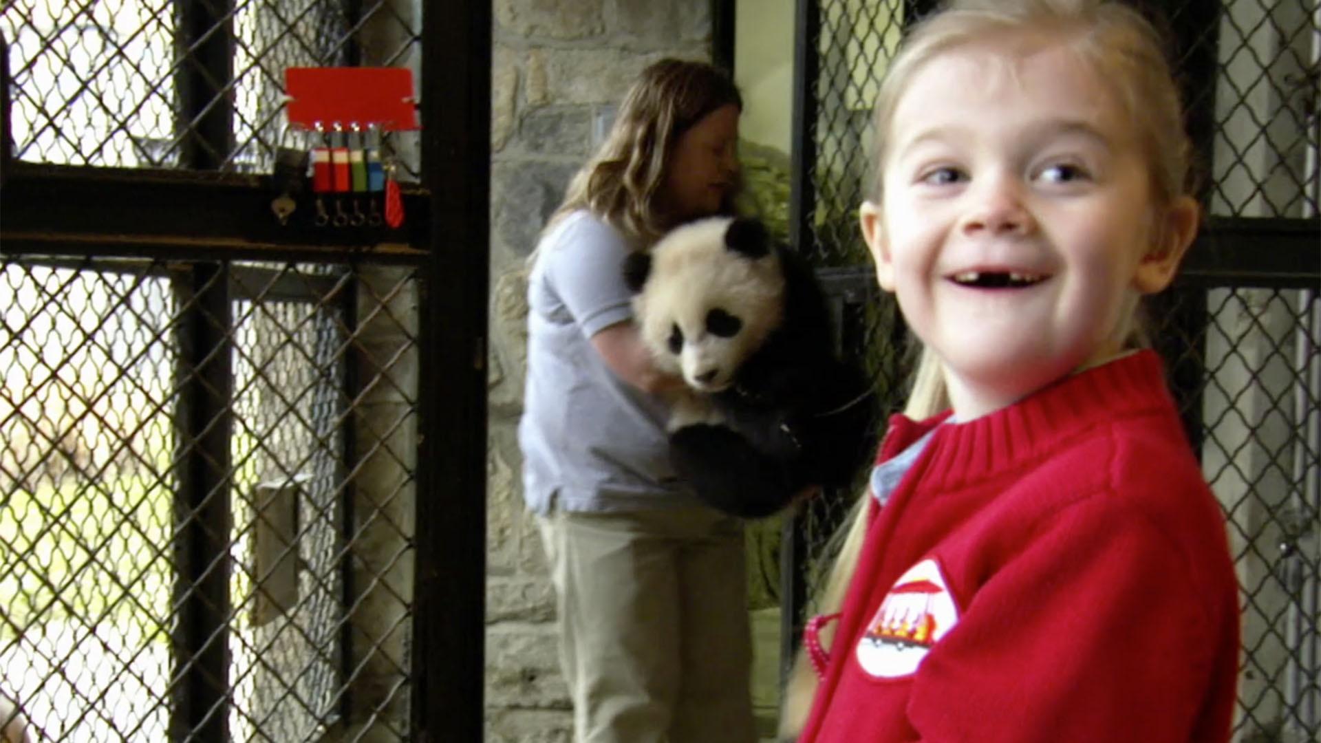 daniel tiger sweater