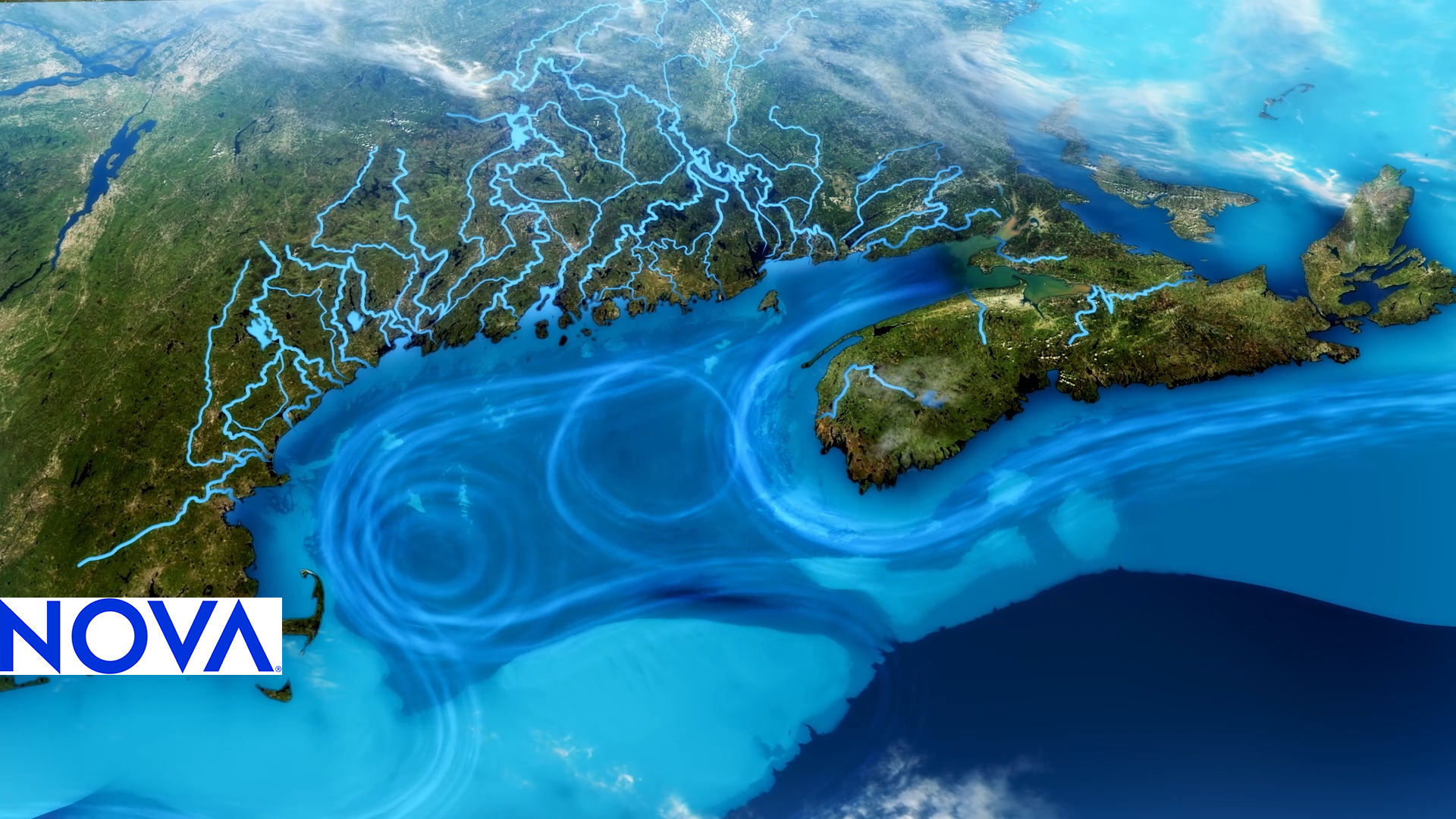 Ocean Currents and the Unique Ecosystem of the Gulf of Maine | NOVA ...