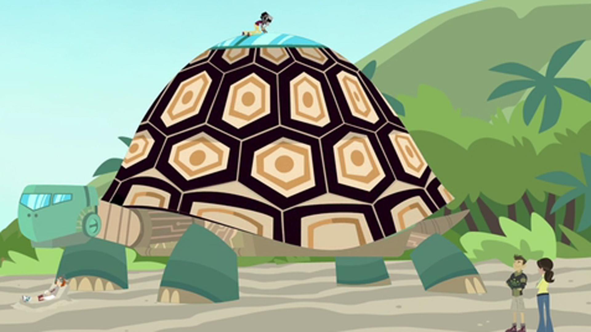 Trouble with the Tortuga | Wild Kratts | PBS LearningMedia