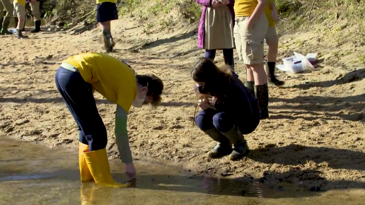 How Kids Can Protect Water Sources | Georgia's Water | PBS LearningMedia