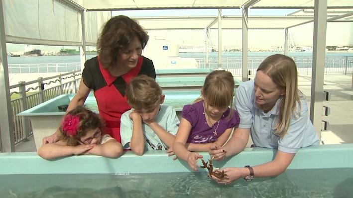 Oceanographic Center Field Trip