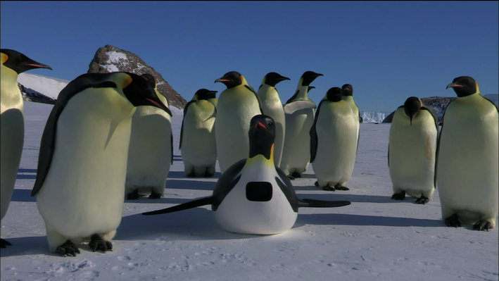The Spy Penguin | The Arts, Engineering & Technology | Video | PBS