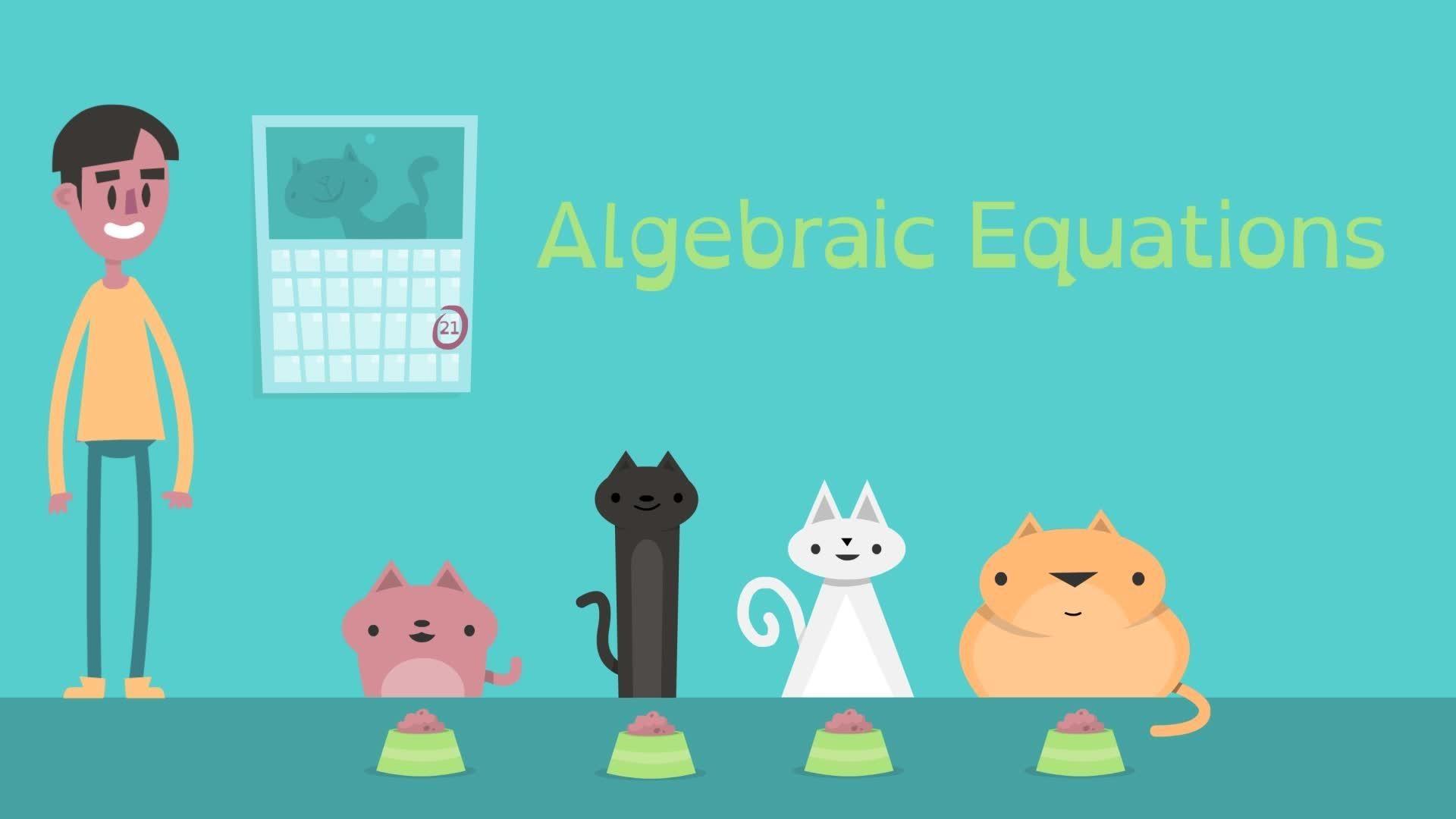 algebraic equations