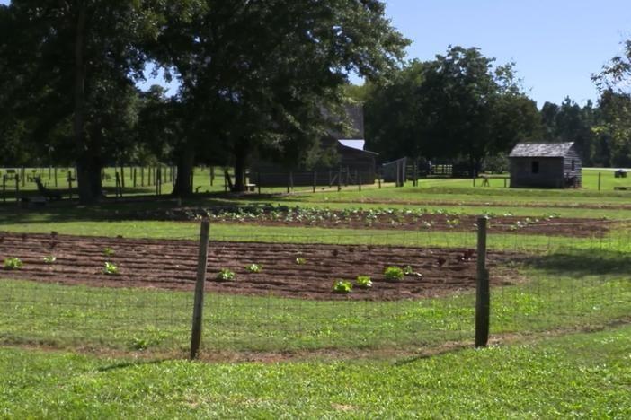 Life on a Farm in the 1930s | Jimmy Carter | PBS LearningMedia