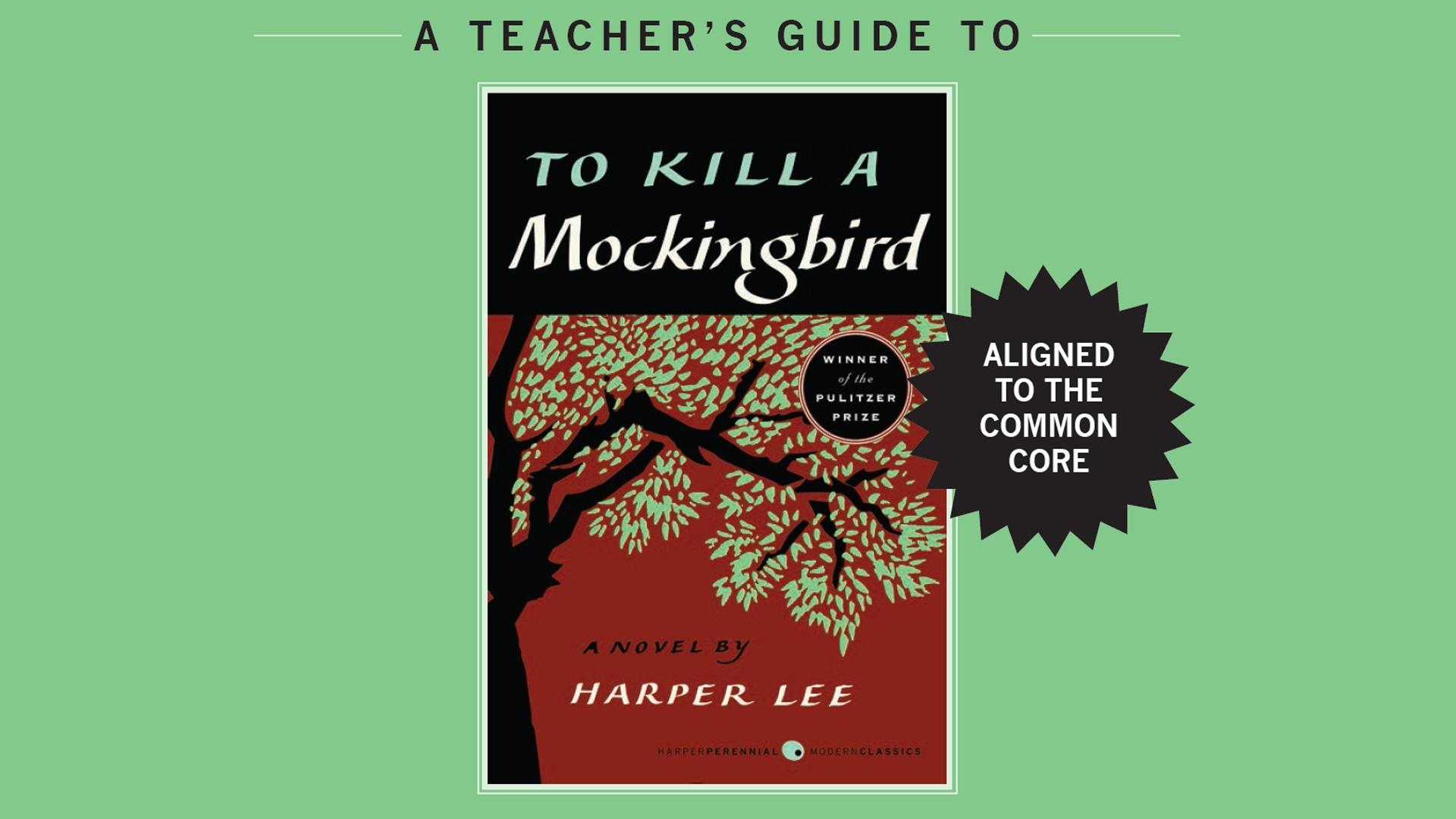 how to kill a mockingbird plot