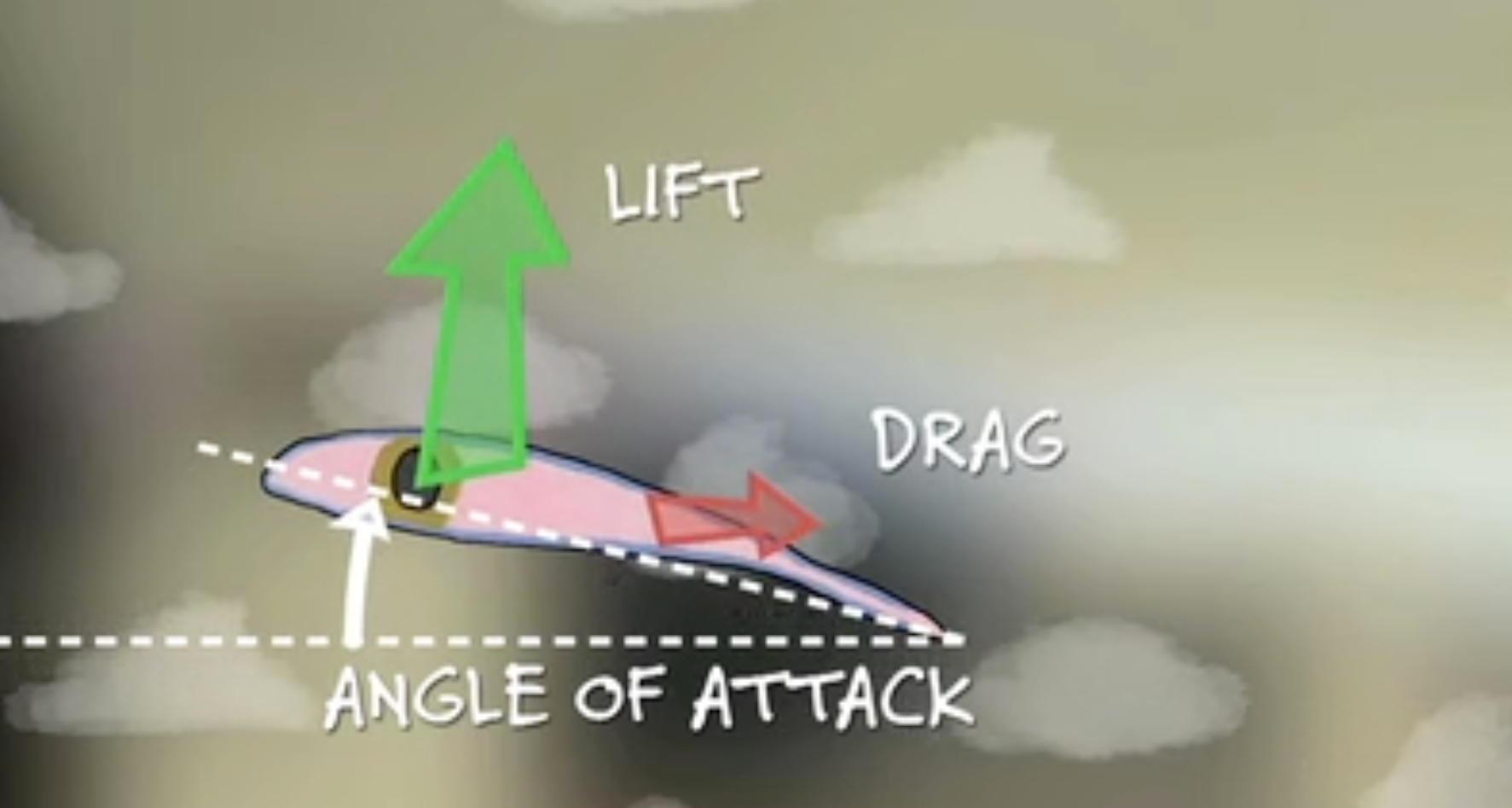 How Does A Glider Work? PBS LearningMedia