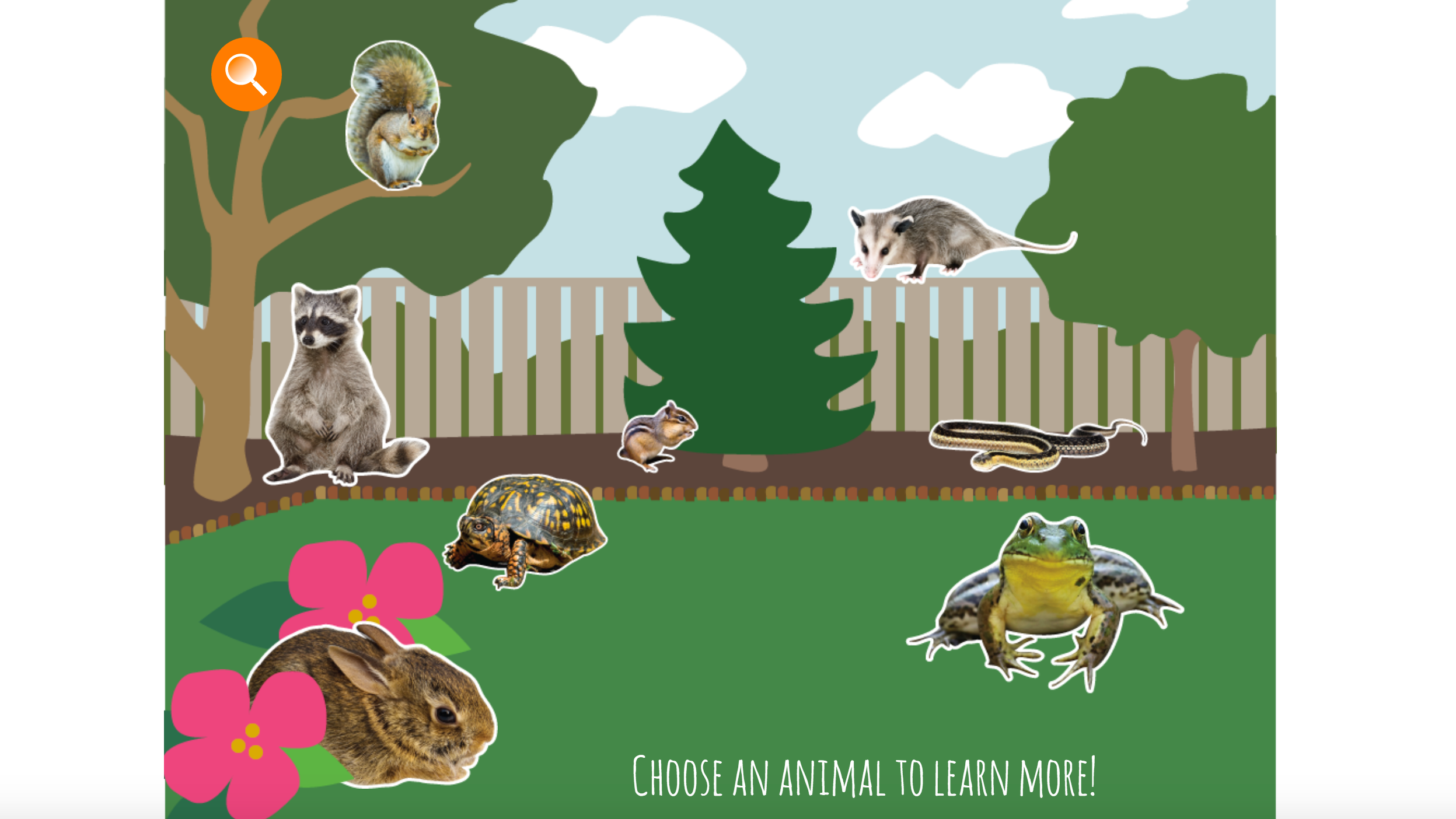 Backyard Animals Everyday Learning Pbs Learningmedia