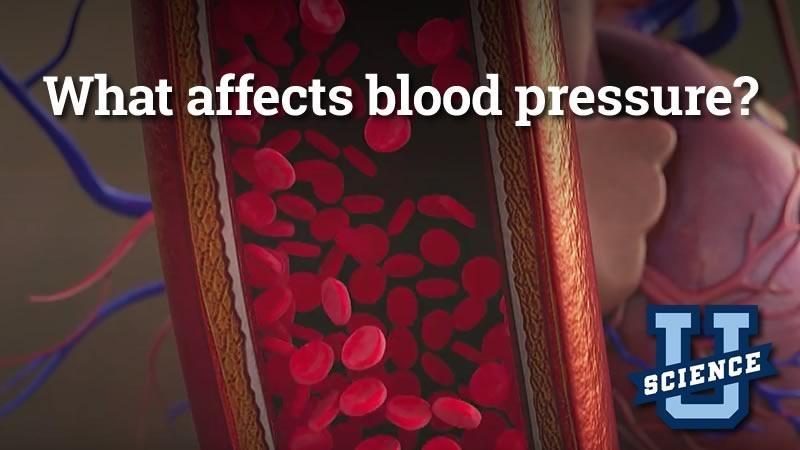 what-affects-blood-pressure-science-u-pbs-learningmedia
