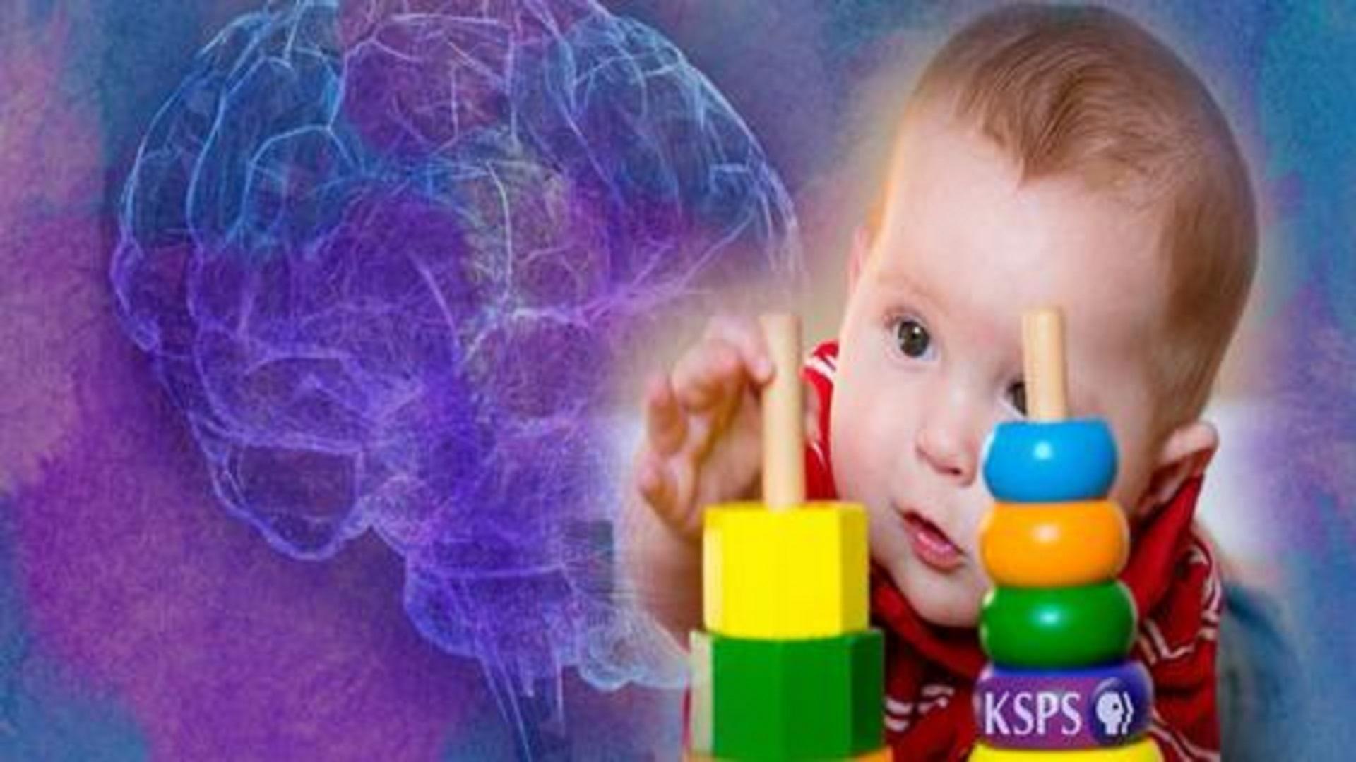 Born To Learn: Brain Science And Early Learning | PBS LearningMedia