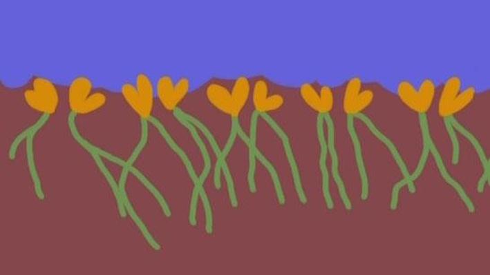 Poem: You Never Hear the Garden Grow