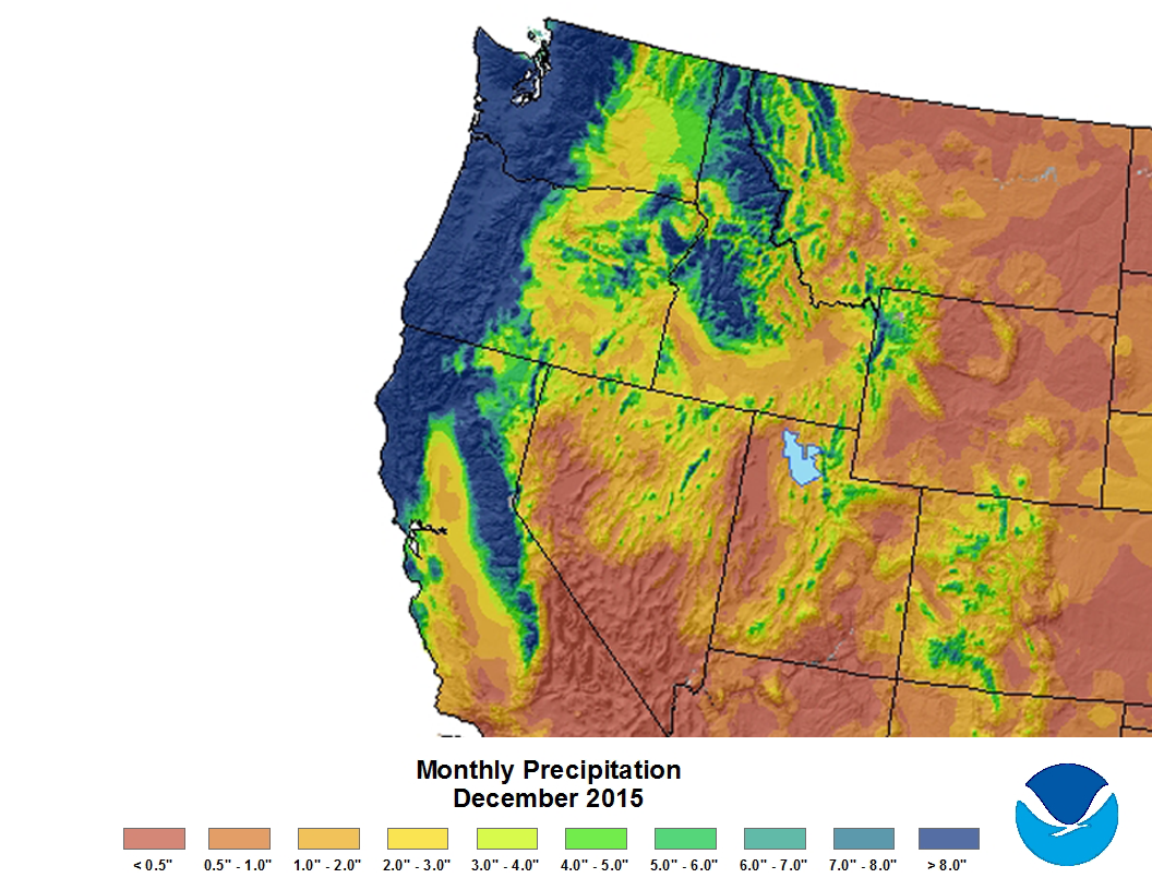 Why the rain brought me back to college in the Pacific Northwest